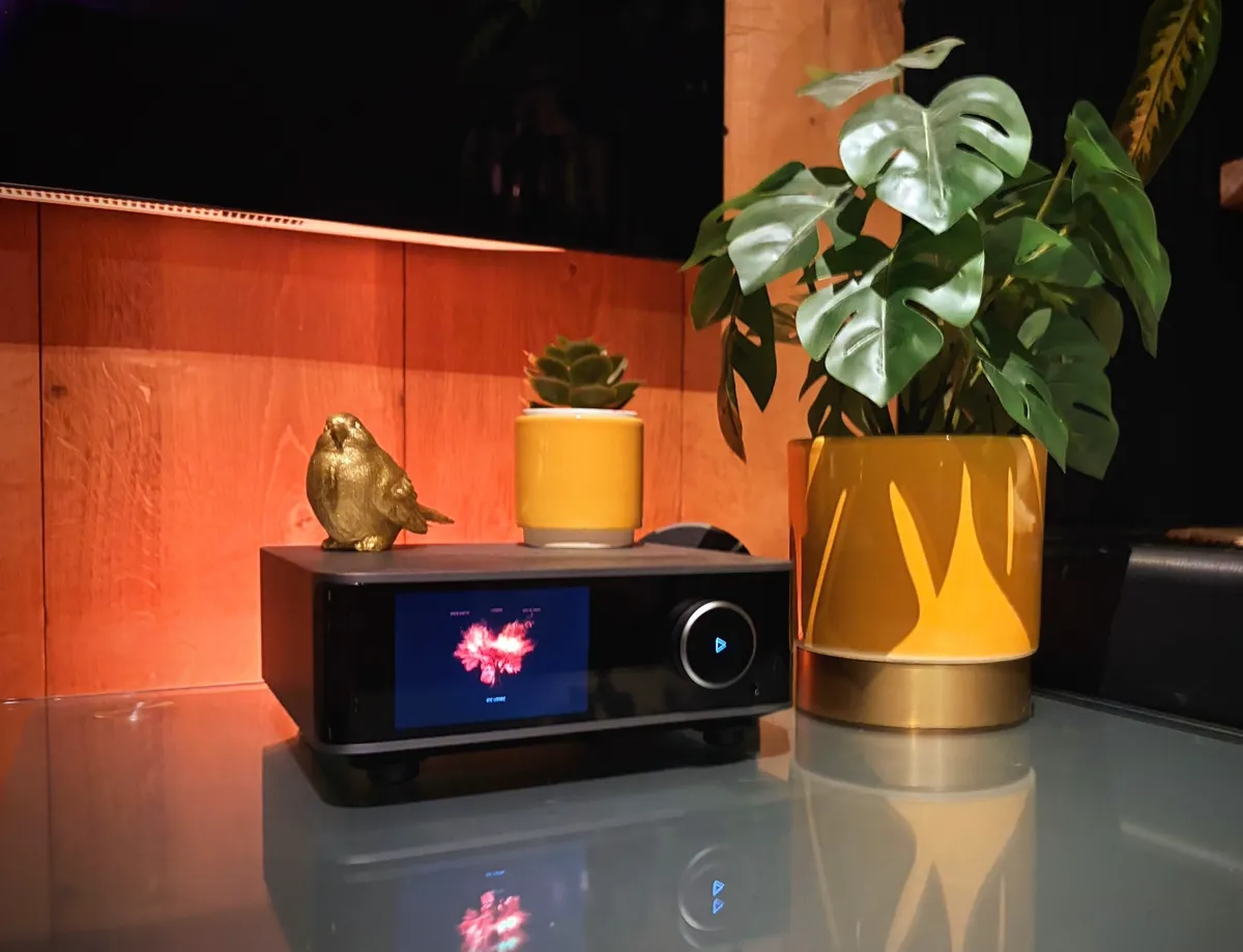 WiiM Ultra bij avondlicht met albumhoes op display
